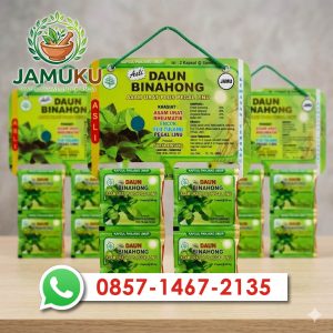 Daun Binahong