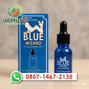 Blue Wizard
