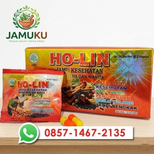 Ho-lin