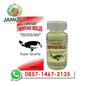 Minyak Bulus