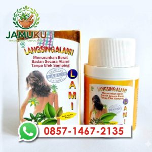 Lami