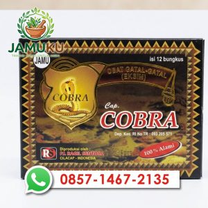 Jamu Cobra Gatal