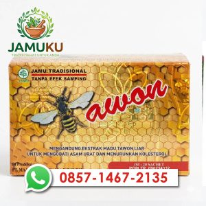 Tawon Jamu