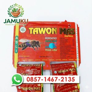 Tawon Mas