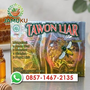 Tawon Liar