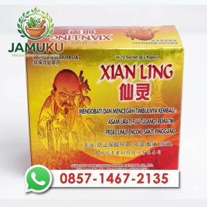 Xianling Kapsul (kartonan)